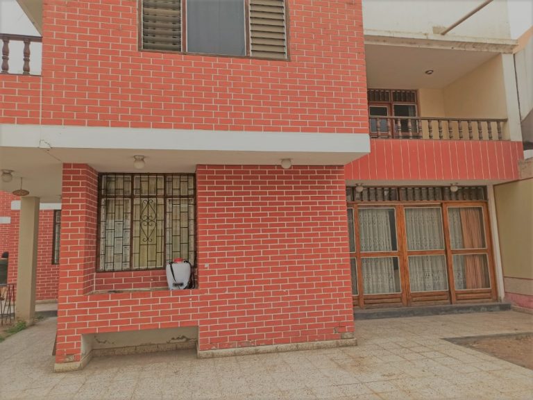 vista posterior
